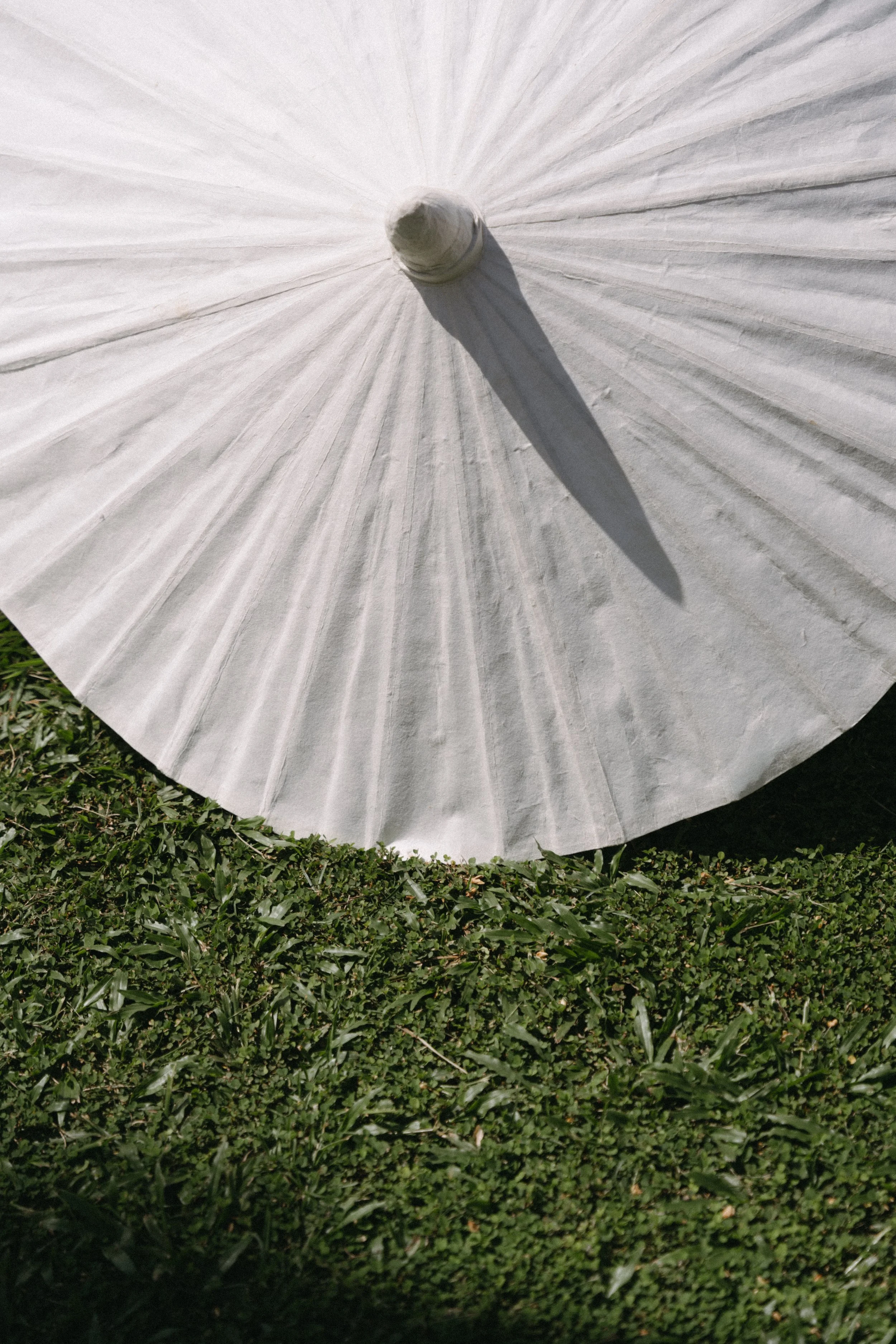 abstract portrait of white parasol 