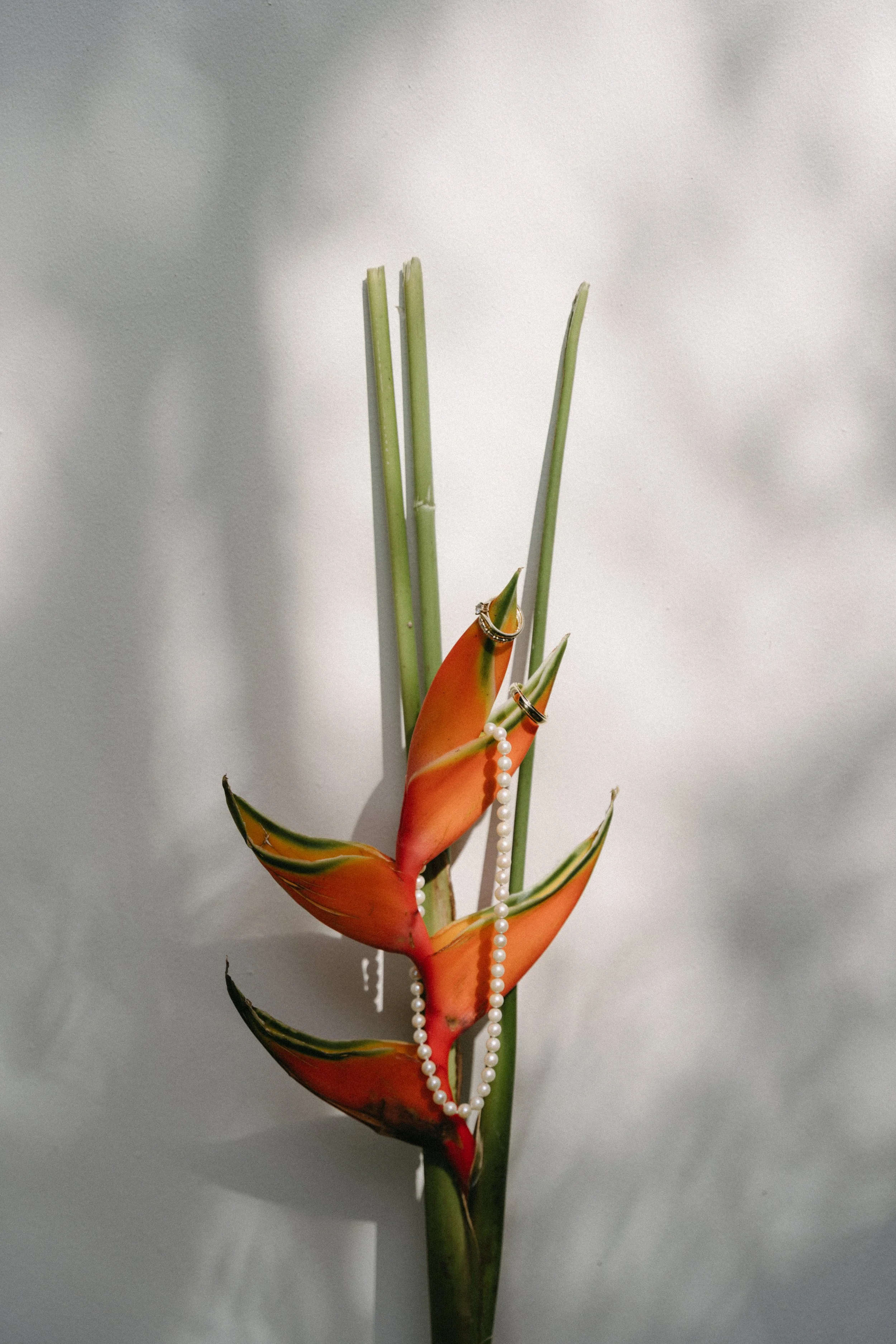 bride's peal necklace elegantly styled on birds of paradise plant 