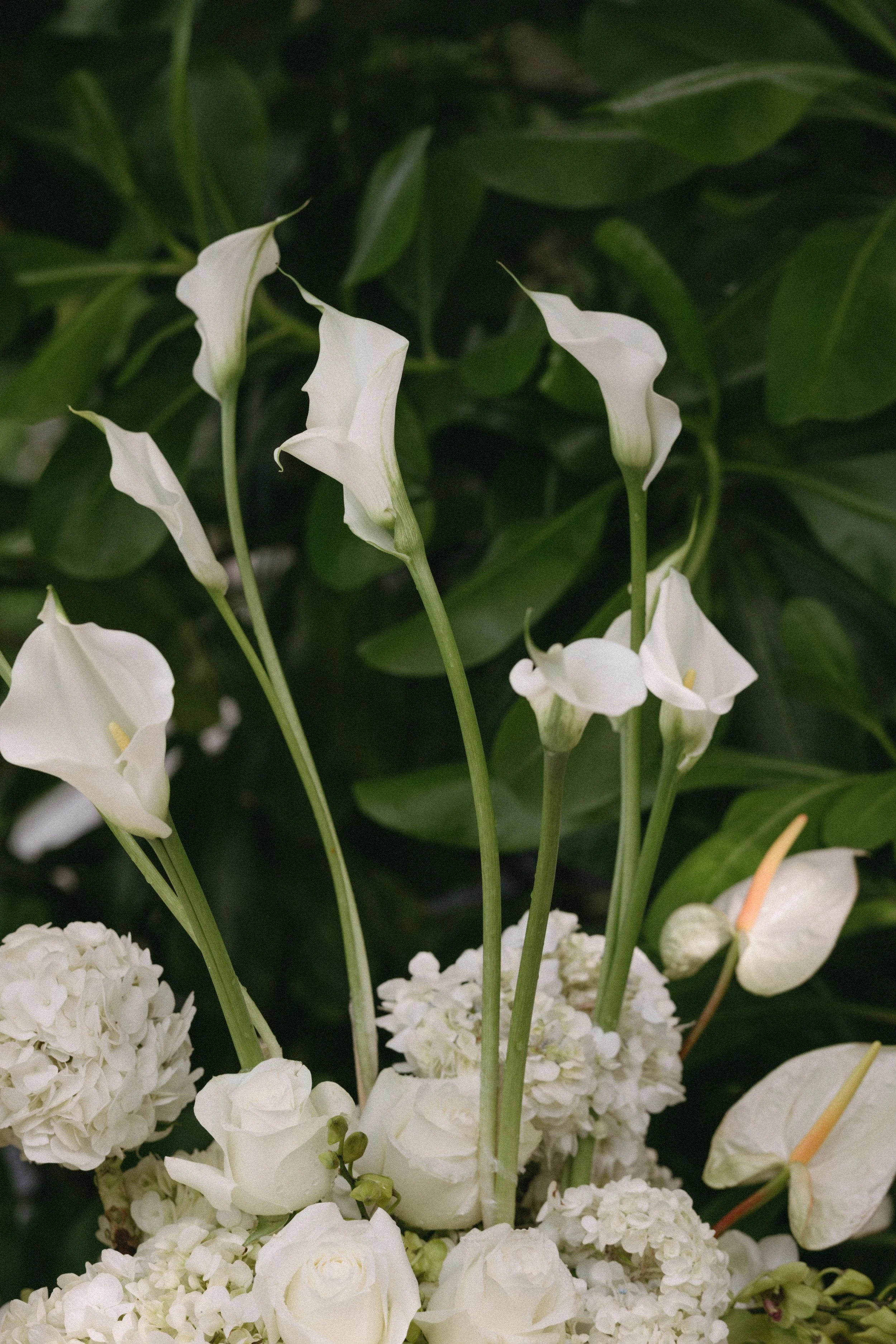 White calla lilies, hydrangeas and tropical wedding flowers decorating a destination wedding ceremony at Odyssey Mansion, Koh Samui