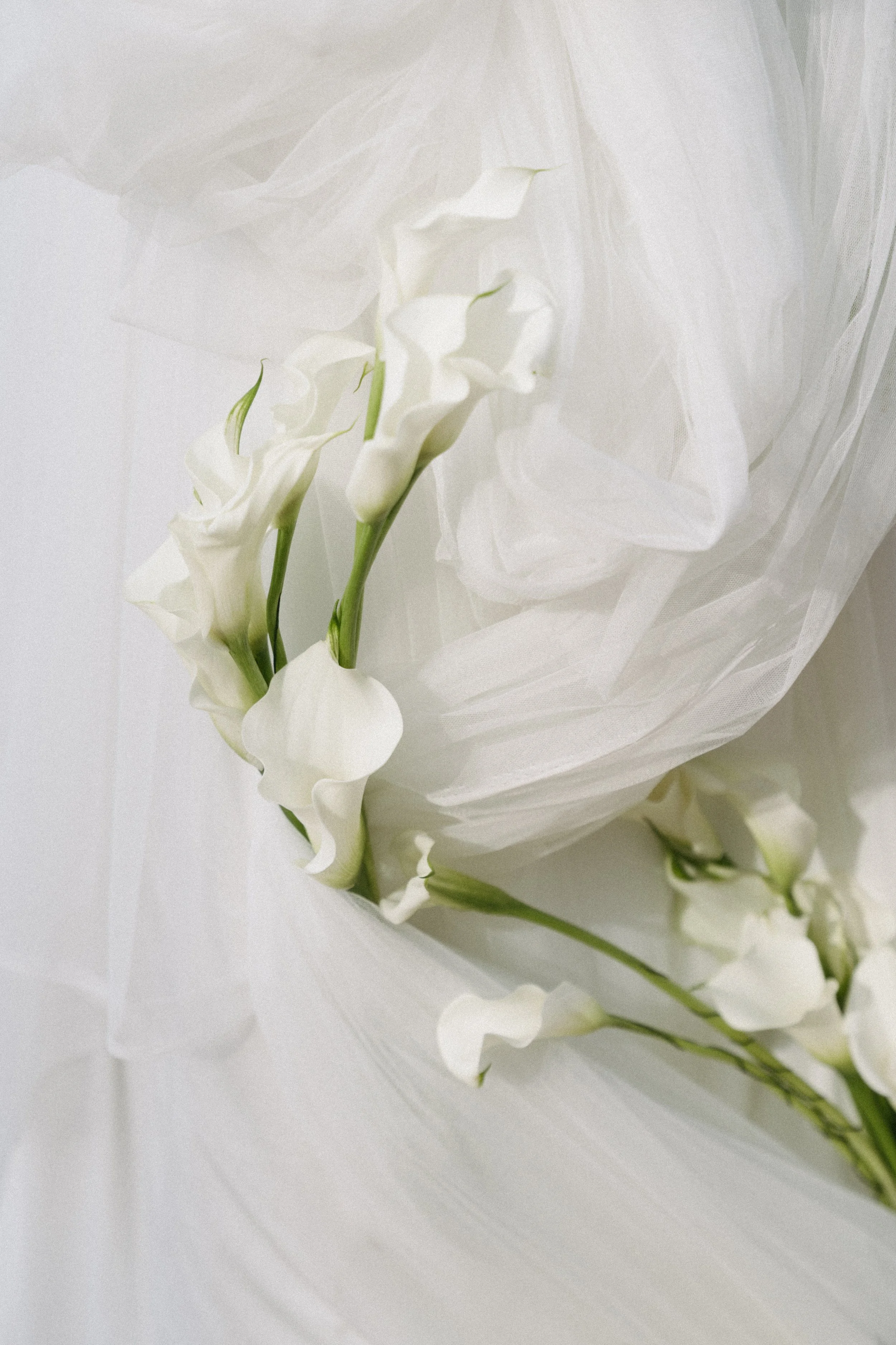 Close-up of elegant white calla lilies woven through soft draped fabric for a beachfront wedding ceremony in Koh Samui