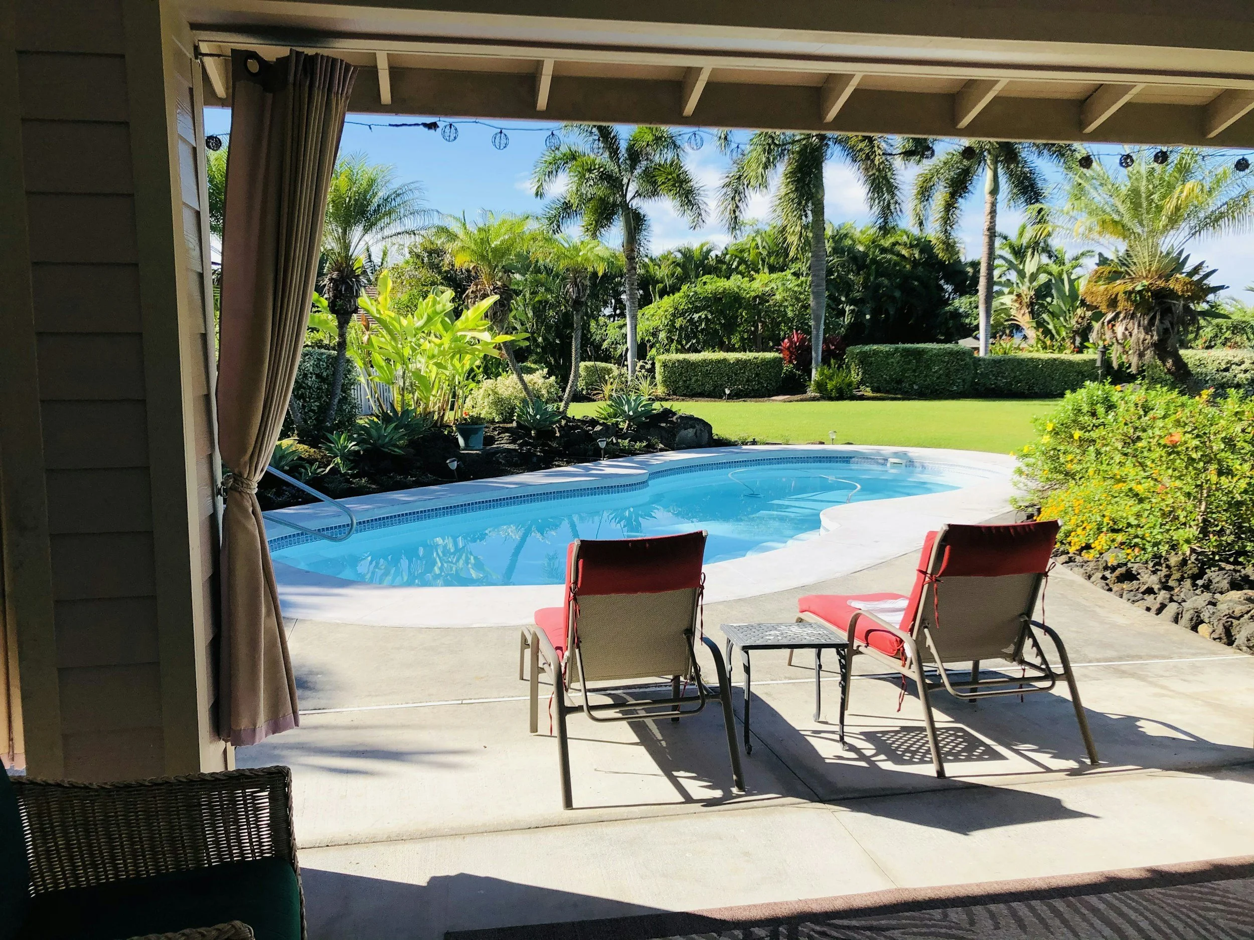 View of a backyard with a small swimming pool, two red lounge chairs, and lush tropical plants and palm trees in the background, seen from a covered patio area.