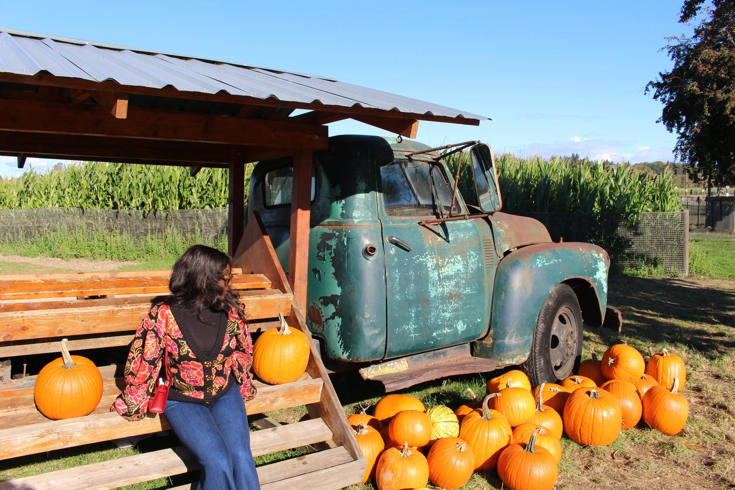 A Cozy Fall Afternoon at Swans Trail Farms