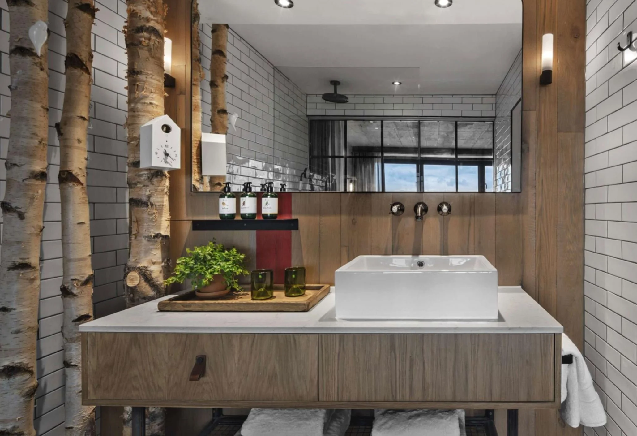 Guest bathroom.JPG