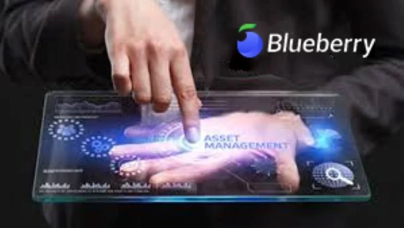 Blueberry: Case Studies of Digital Asset Management