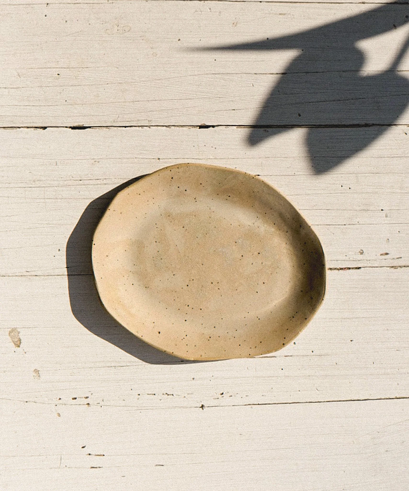 Re:Roots Irregular Shape Appetizer Plates