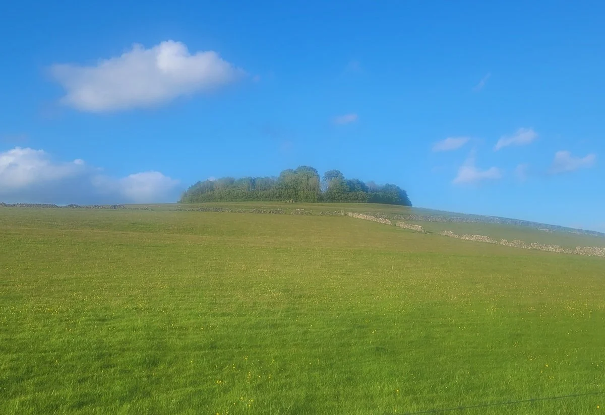 Minninglow Hill. A circular wood surrounding the remains of a Neolithic chambered tomb and a Bronze Age Barrow.