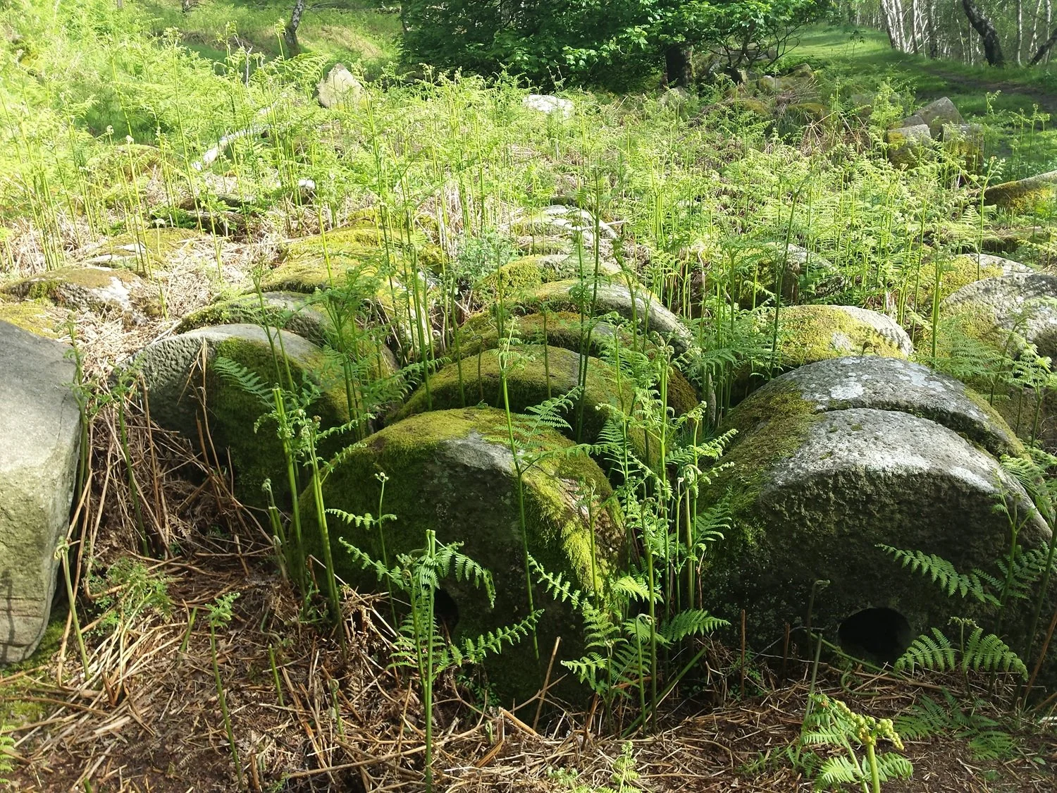 Mill Stones near Hathersage