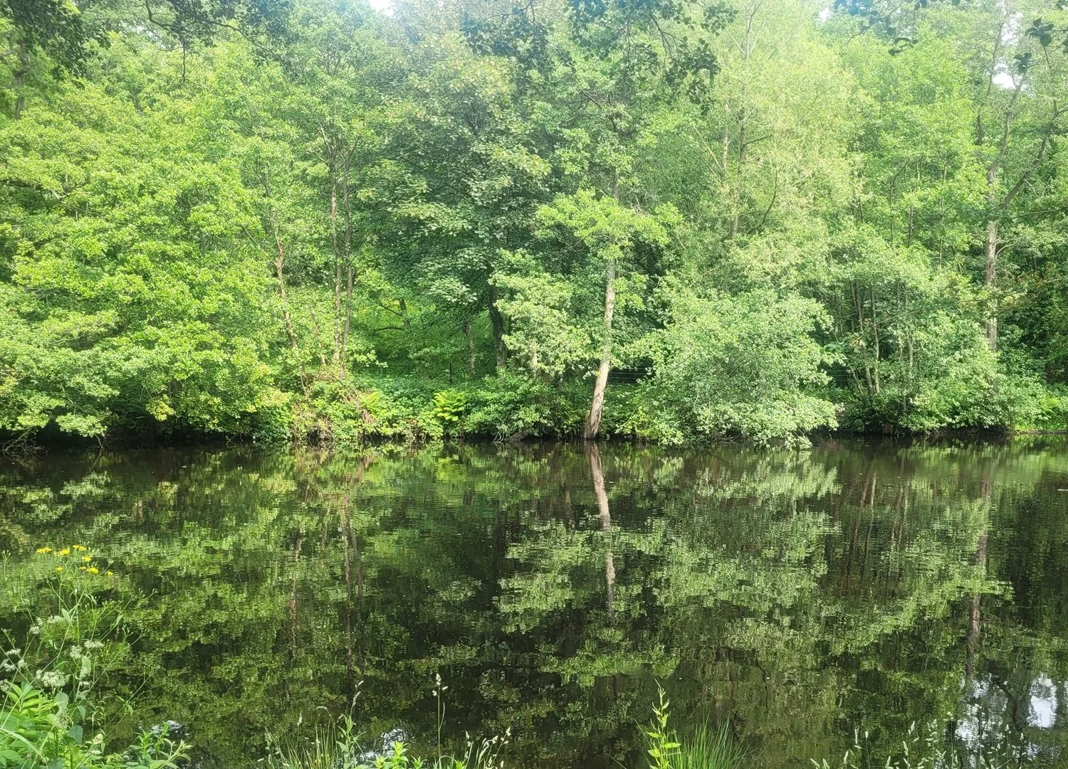 River Derwent near Froggatt
