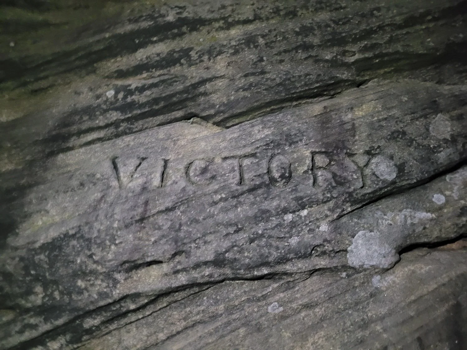 M5 Victory.jpg