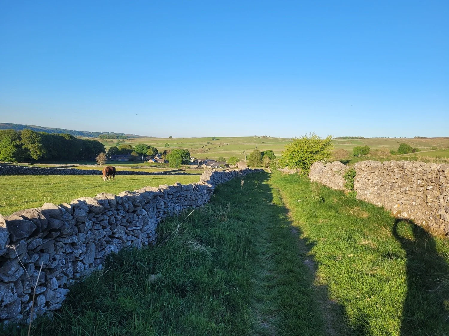 Old Drover's Road