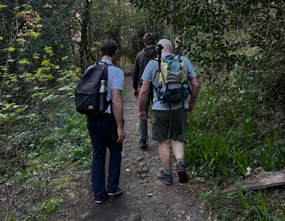 Easy walking through Bow Wood