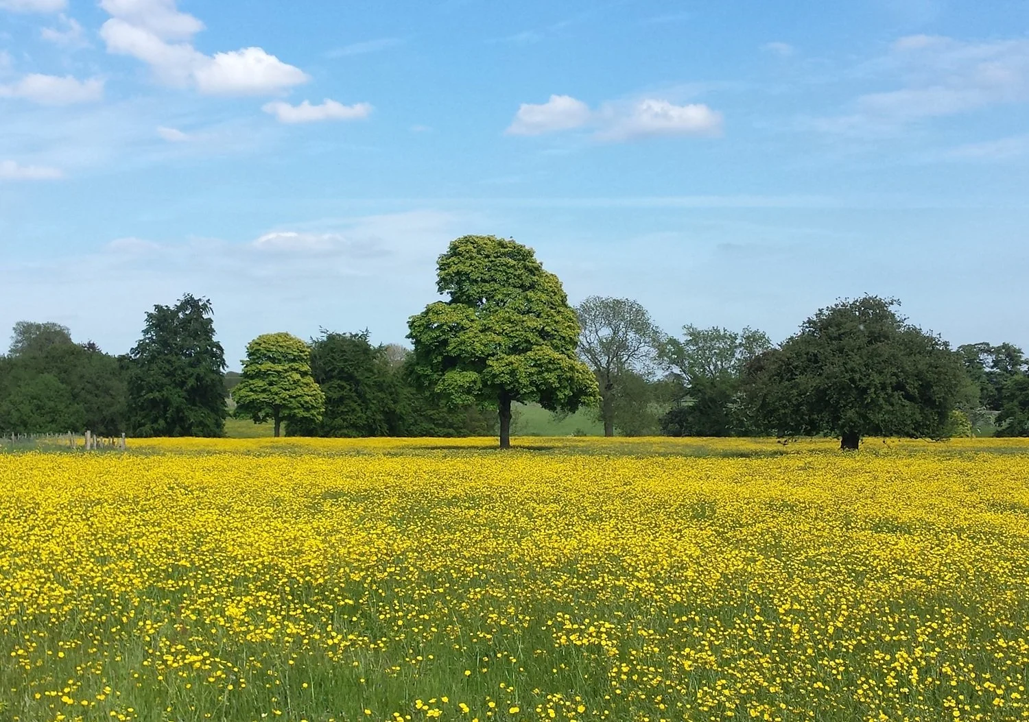 Meadows near Great Longstone