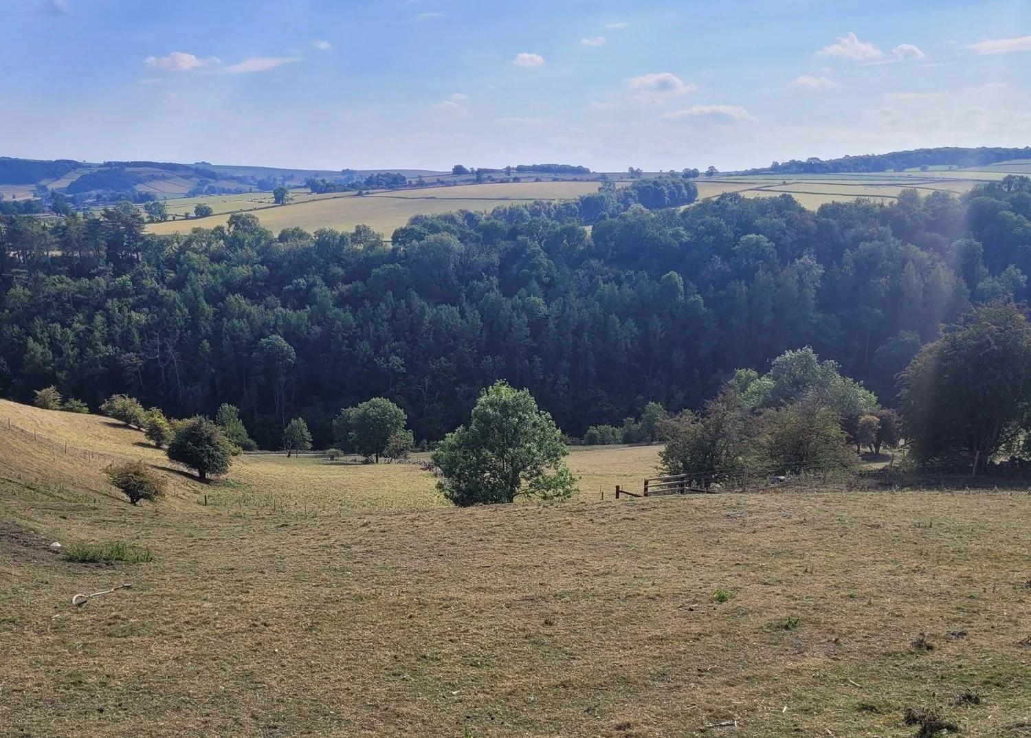 Lathkill Dale from Over Haddon