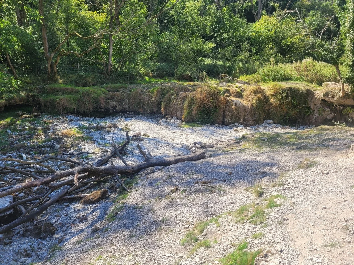 River Lathkill (August 2025)