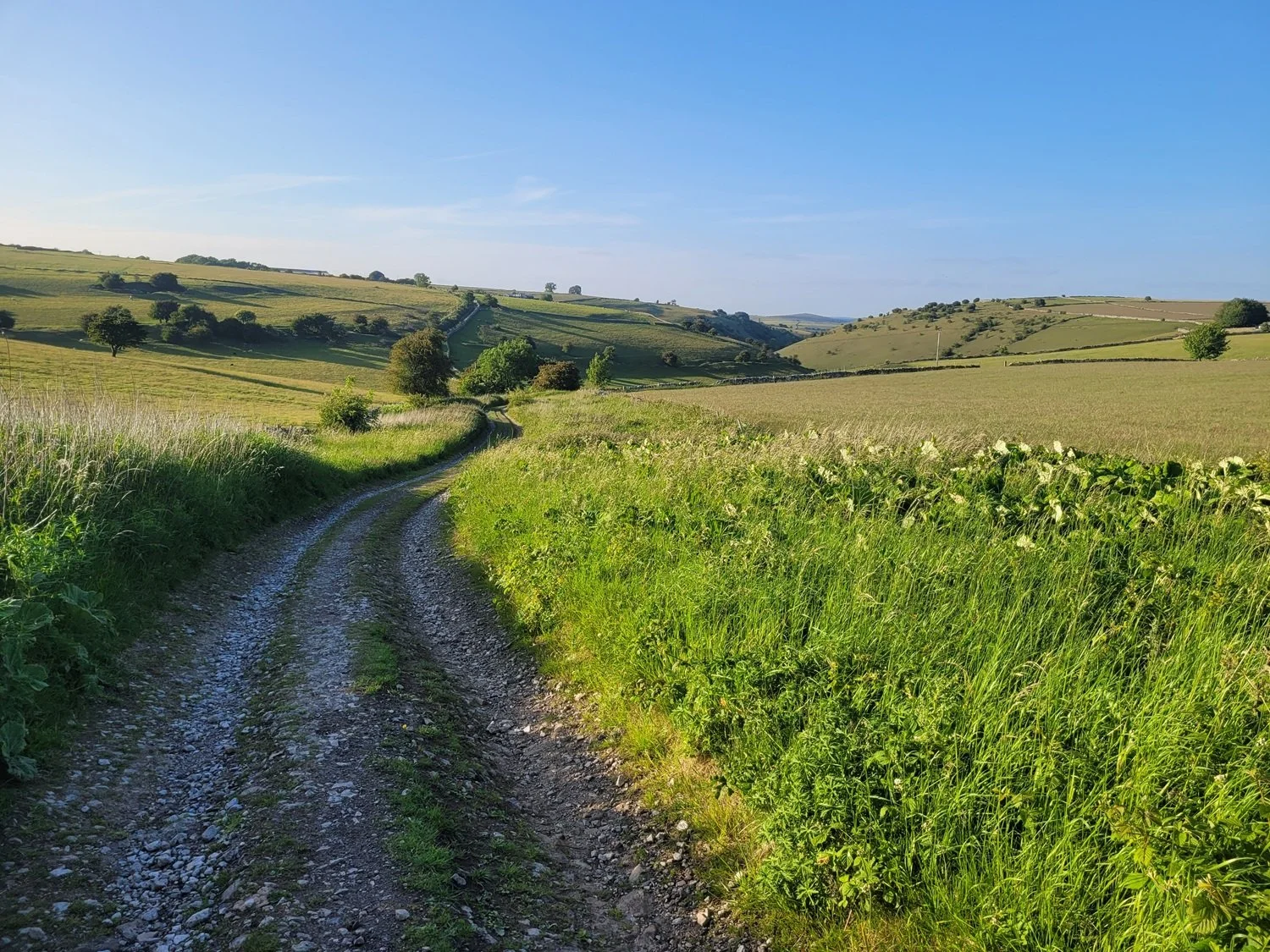 Track on Deep Dale