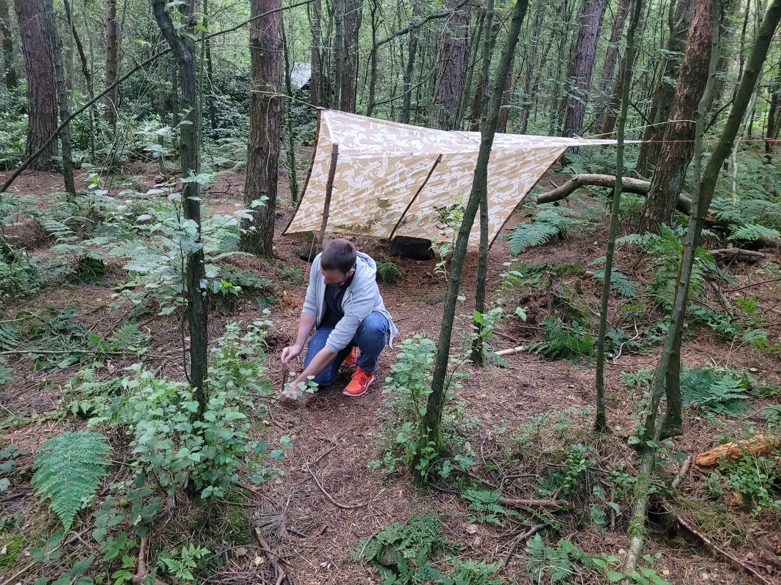 Home from home in the woods!