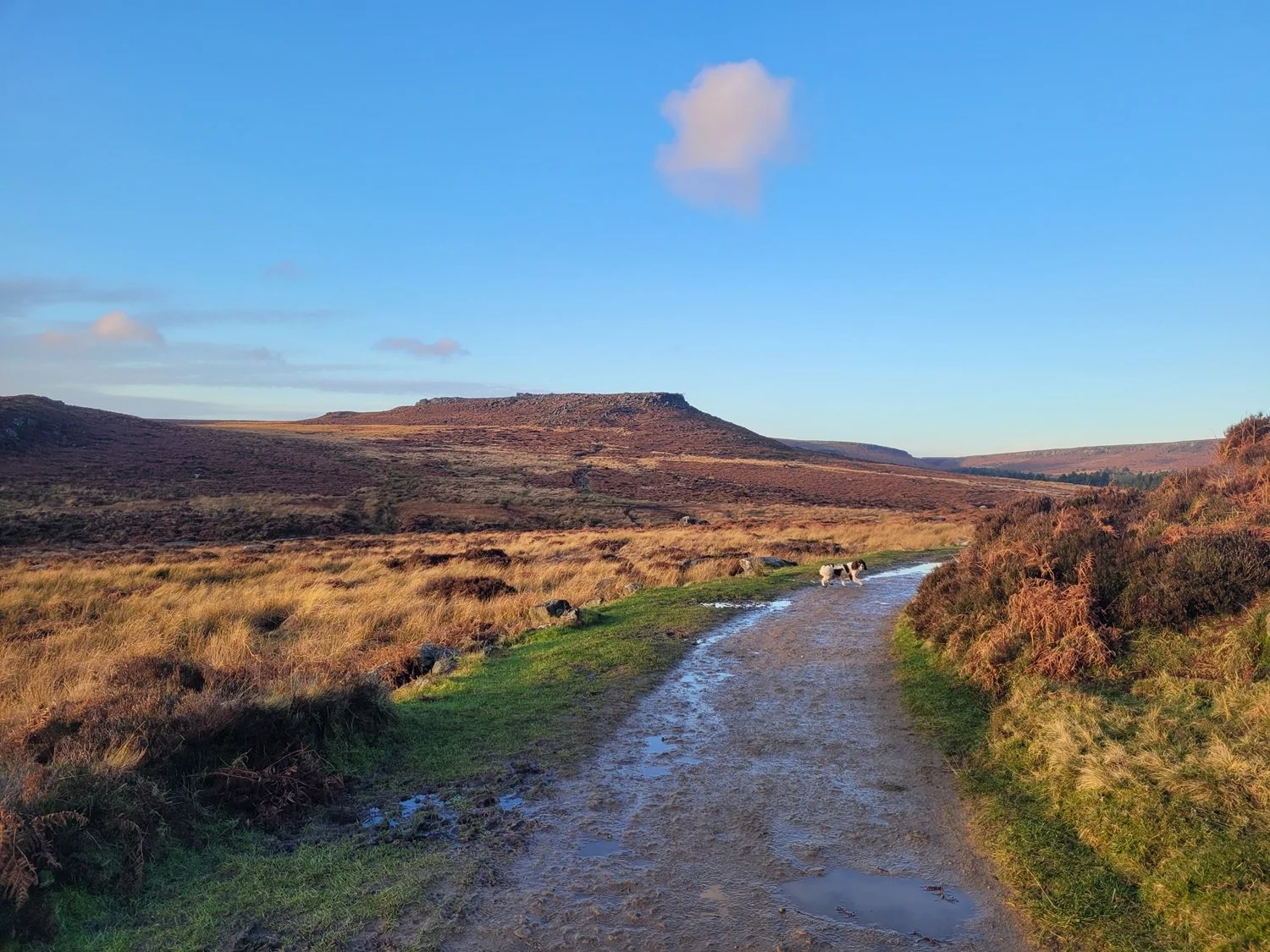Burbage Valley near Hathersage