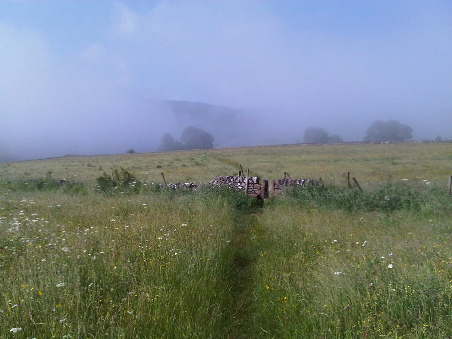 Stoney Middleton meadows in the mist