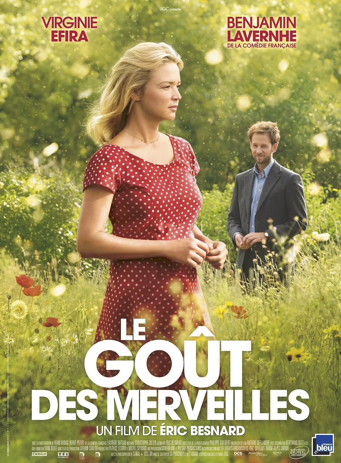 Ciné-mardi : Le goût des merveilles