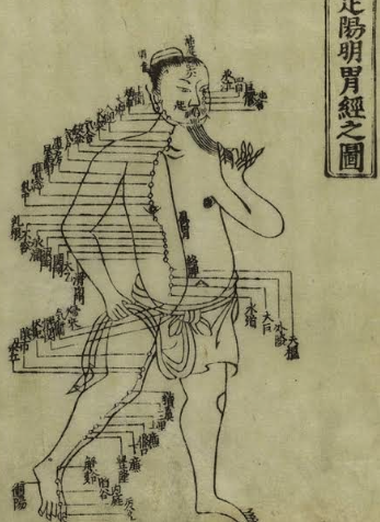 Yin & Pin (an Extended Fire & Water element inspired Yin Yoga and Acupuncture session) - SOLD OUT! Waitlist only…