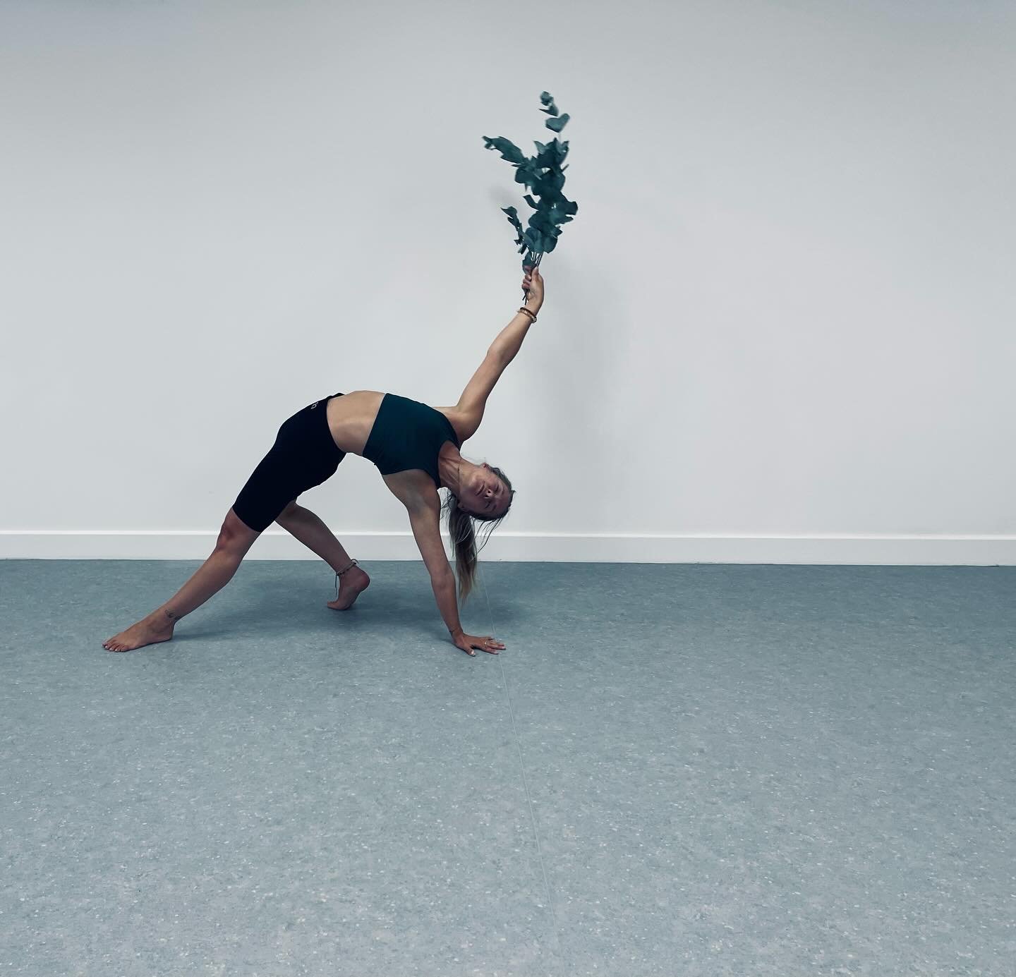 Join @moonandwanderer EVERY TUESDAY MORNING @ashtangacheshire_studios for her beautifully sequenced elemental inspired MANDALA sessions.

TUESDAY @ashtangacheshire_studios 
09:30 Mandala 
@moonandwanderer 

What is Mandala ? 
Elemental. Playful. Rhyt