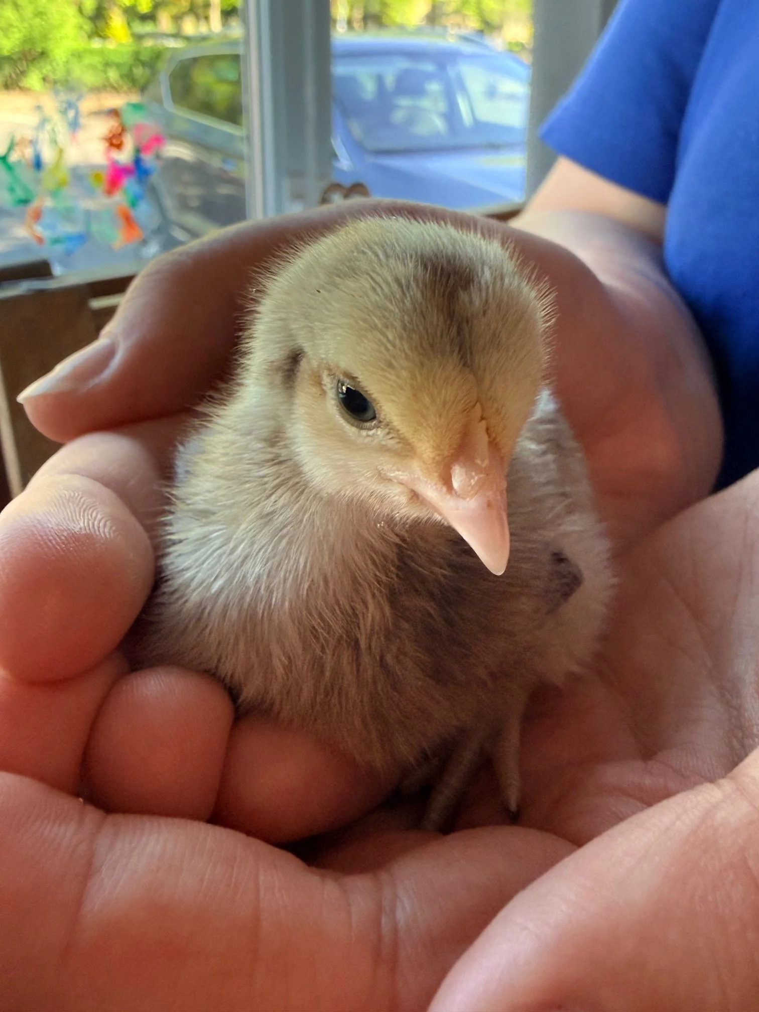 April Newsletter