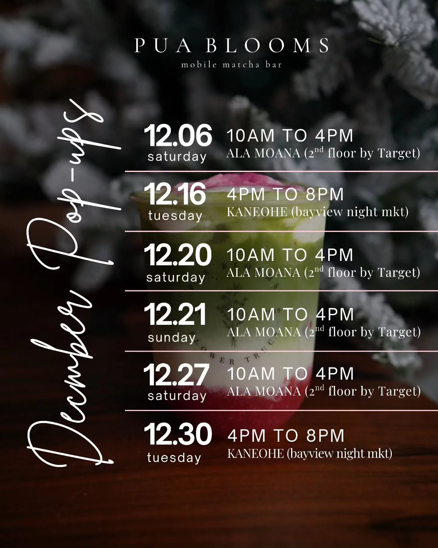 DECEMBER SCHEDULE ❄️

This will probably be our last full month of pop-ups before we pop 👶 Then we'll be taking a couple months off. So we hope to see you! 

We also decided to keep Kulolo for another month since so many of you requested it or have 