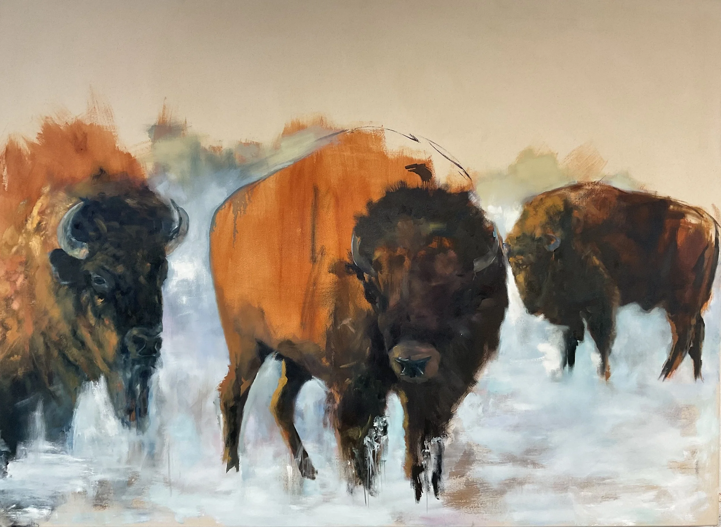 Bison