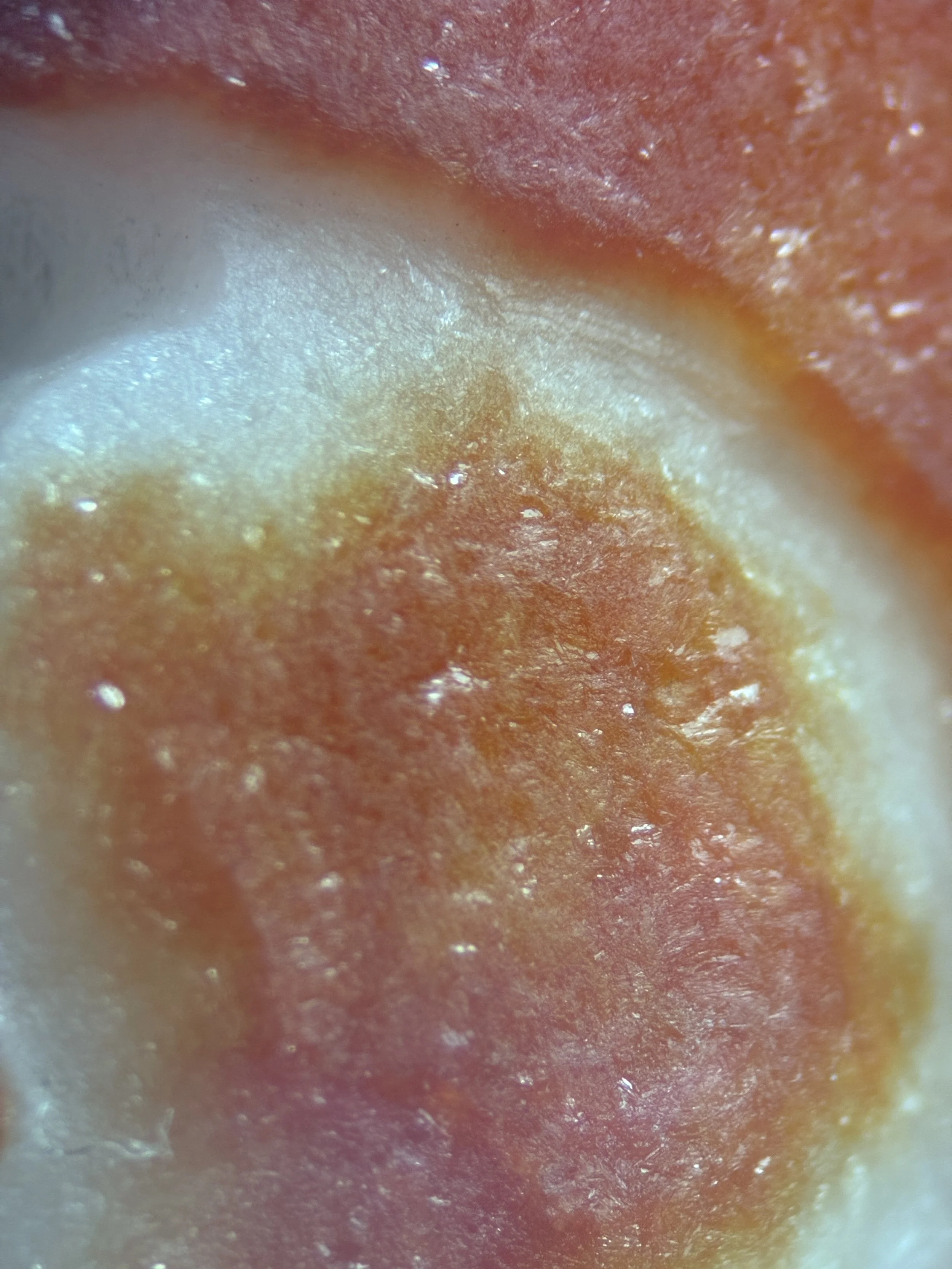 Gemological Characteristics of Heat and Dyed Nephrite Jade 