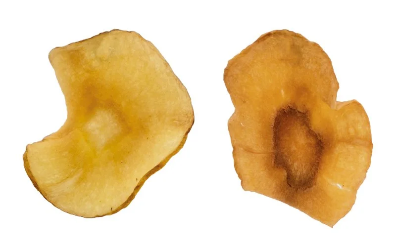 Two slices of parsnip chips with varying shades of brown and yellow.