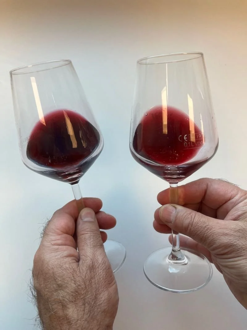 Two hands holding wine glasses with red wine, clinking together against a plain background.