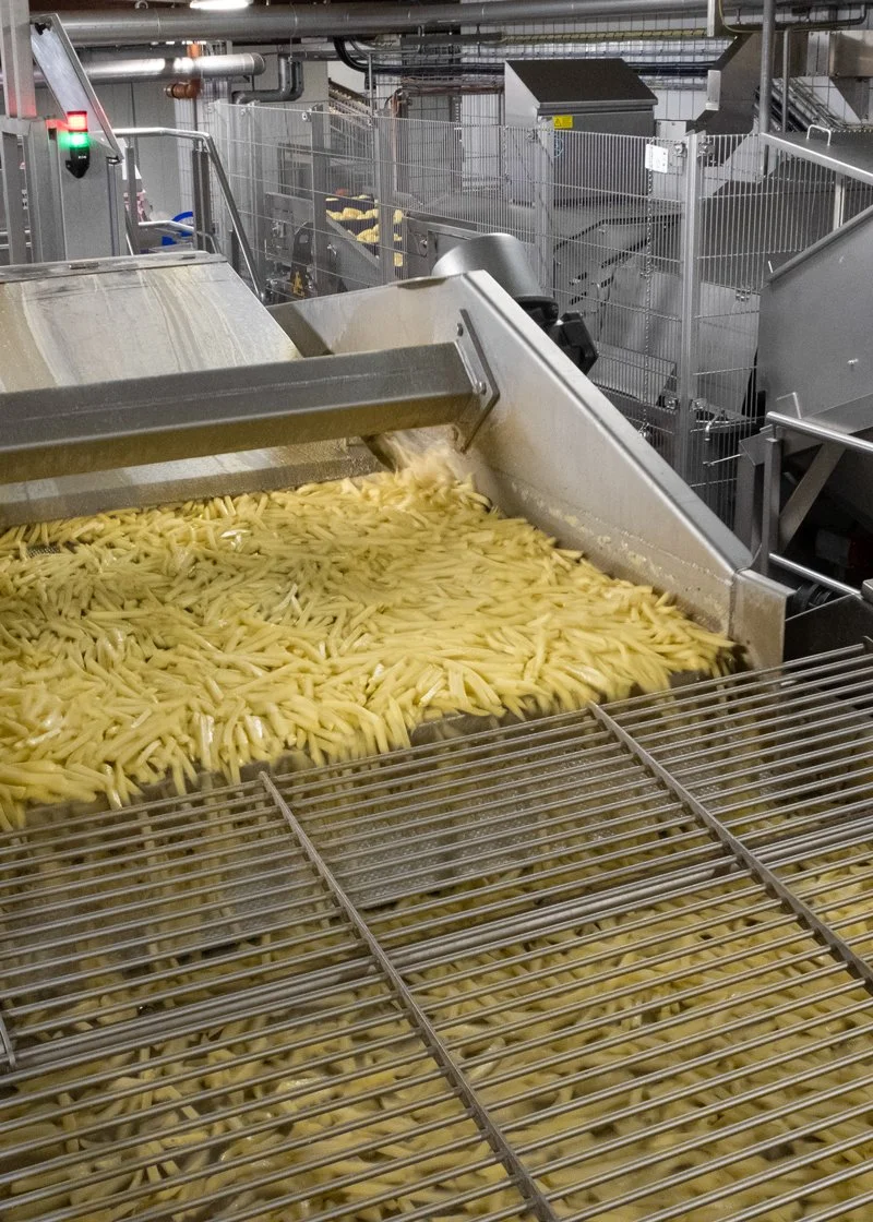 Production line in a factory with conveyor belt moving cut potatoes for processing