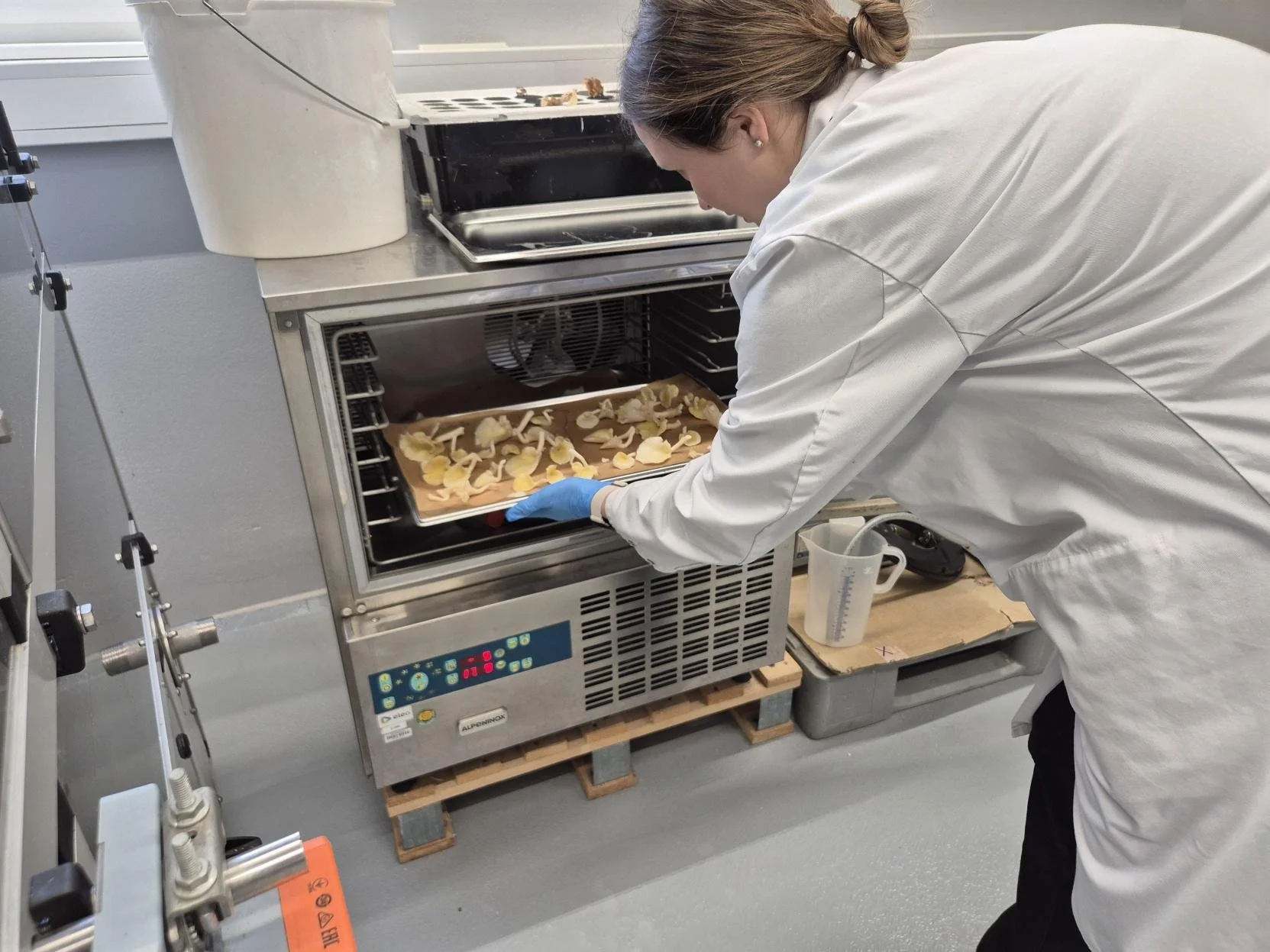 Exploring New Possibilities: PEF Trials With Fungtastic