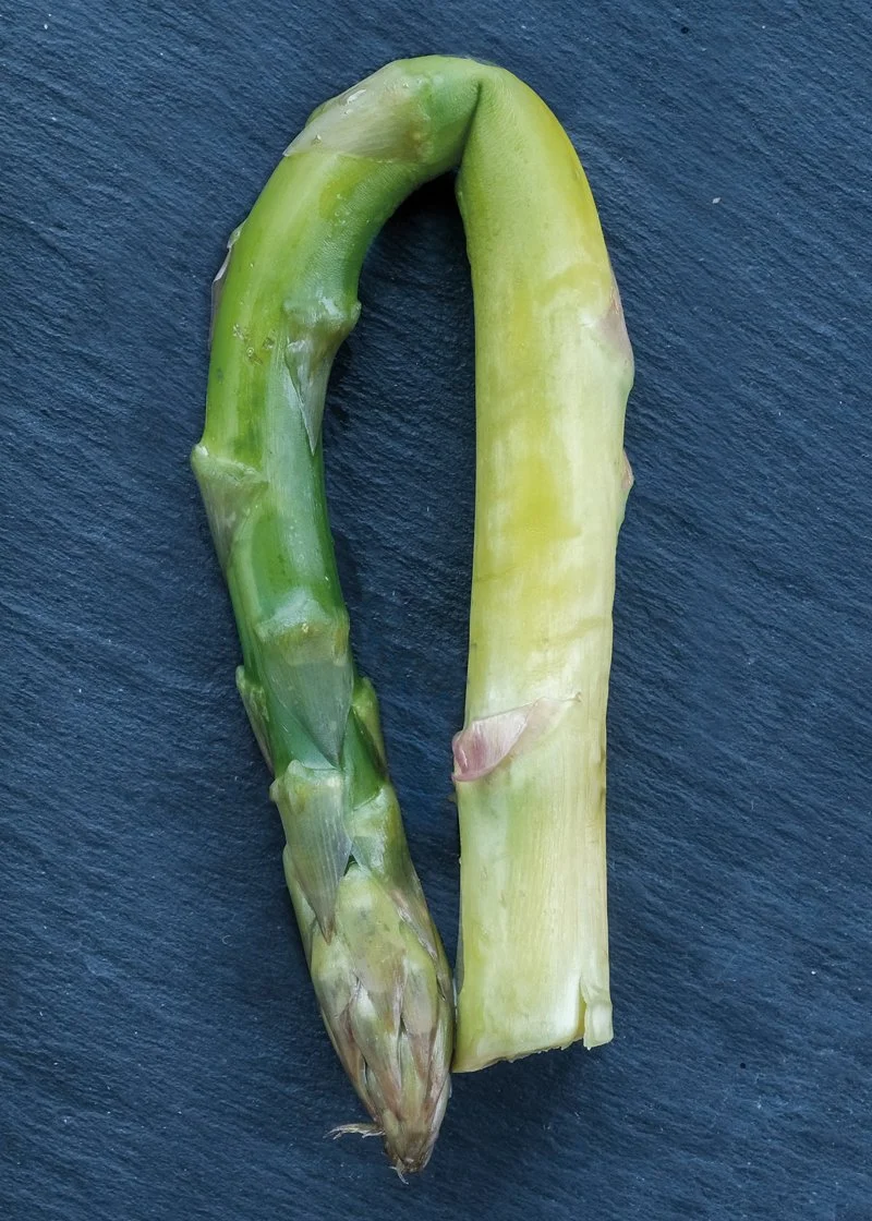 Curved asparagus spear on a dark surface