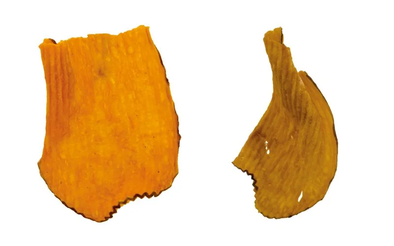 Two sweet potato chips against a white background.