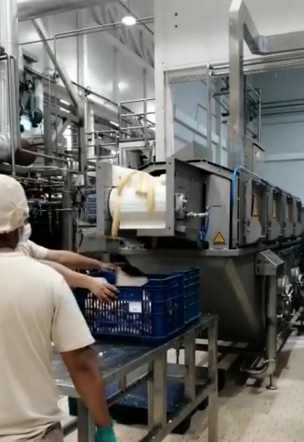 Workers operating a food processing machine in a factory, with one person wearing a cap and gloves, handling a blue crate near the machinery.