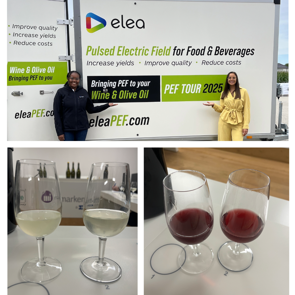 Insights in the Making: Revisiting PEF Wine Tour Winery for 2025 Results