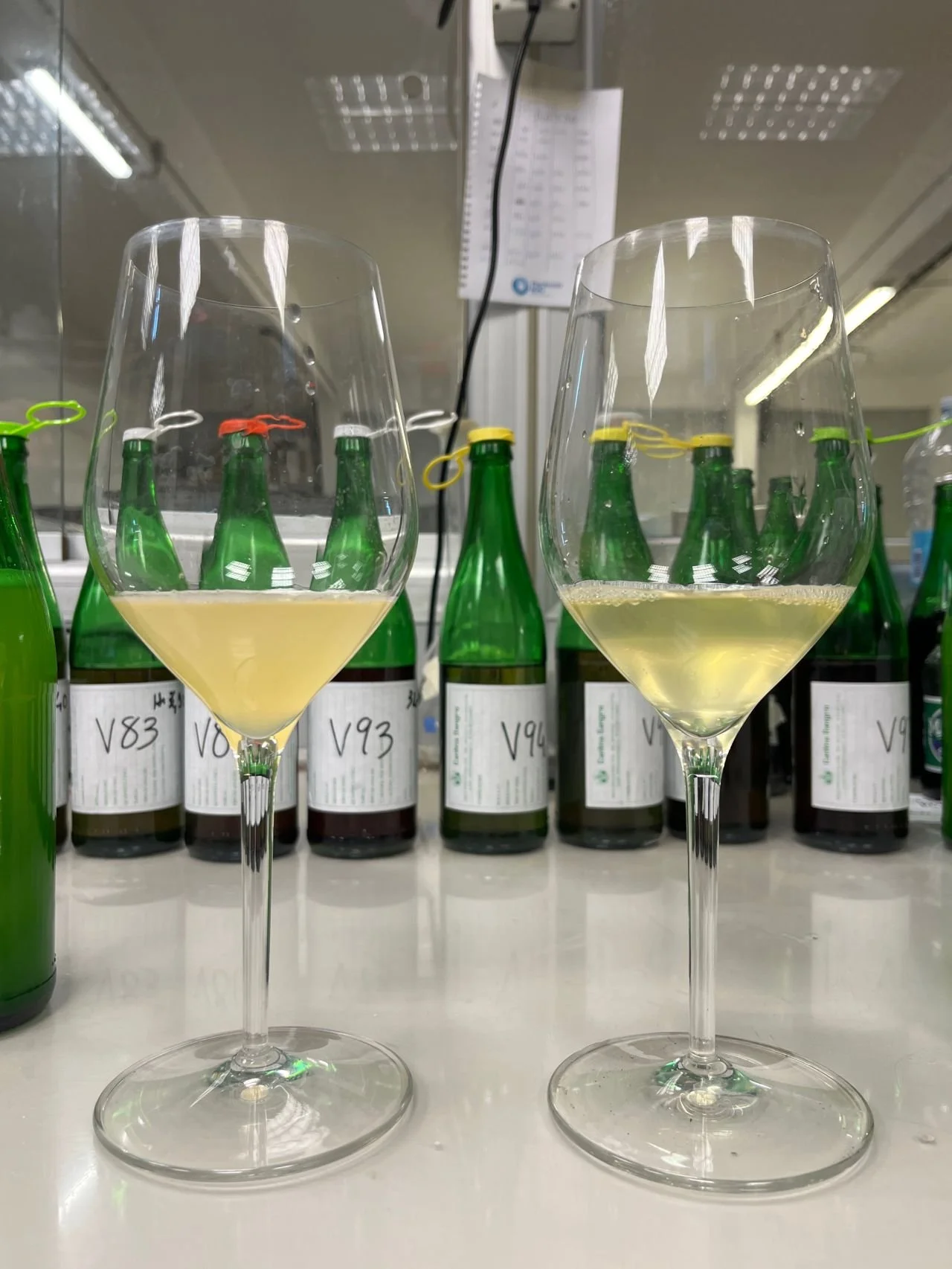 Two champagne glasses filled with a light yellow beverage sitting on a table in front of rows of green bottles with white labels in a laboratory or industrial setting.