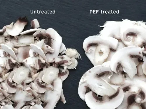 Comparison of untreated and PEF-treated sliced mushrooms on a dark surface.