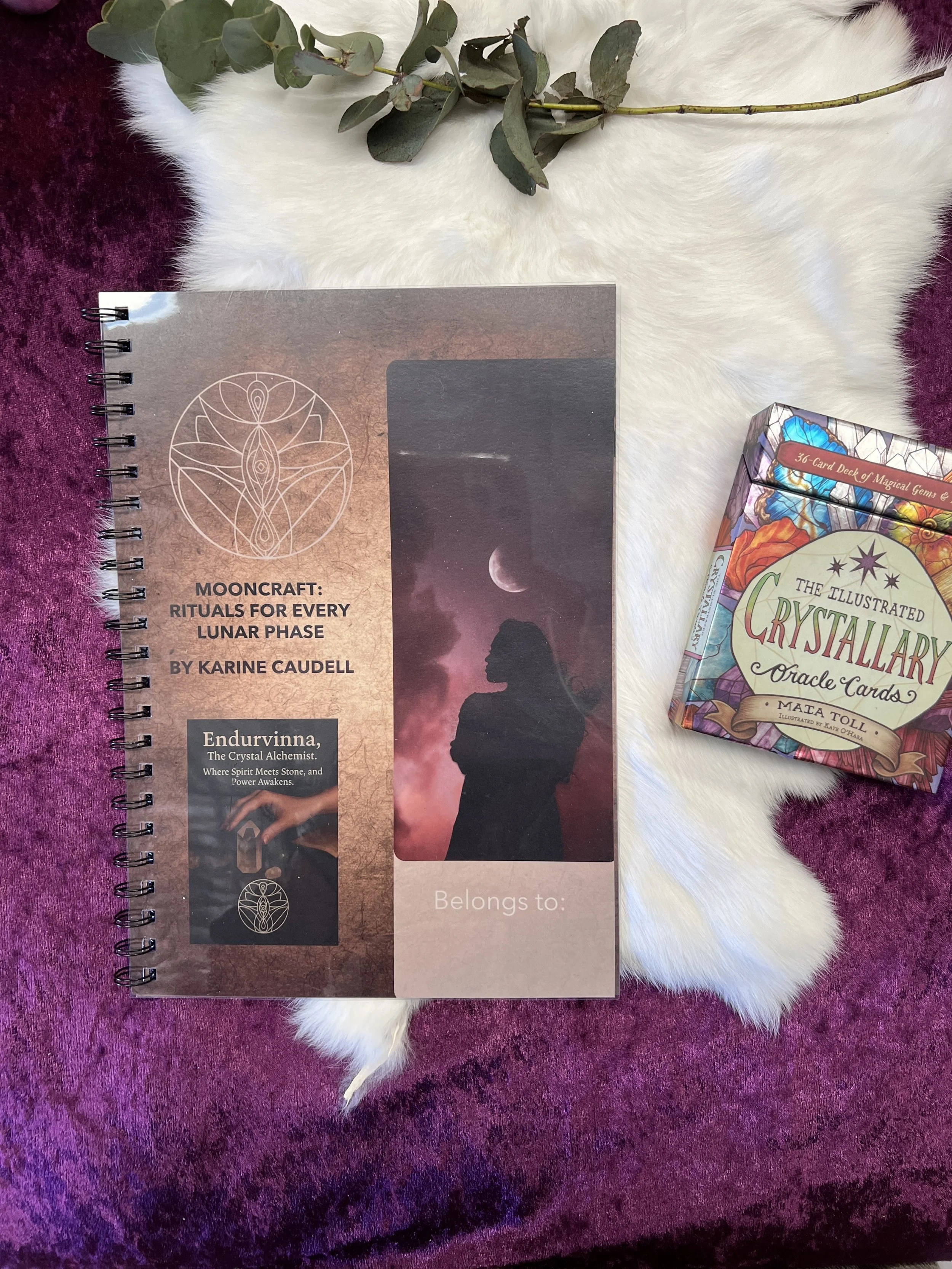 The Cards as Compass