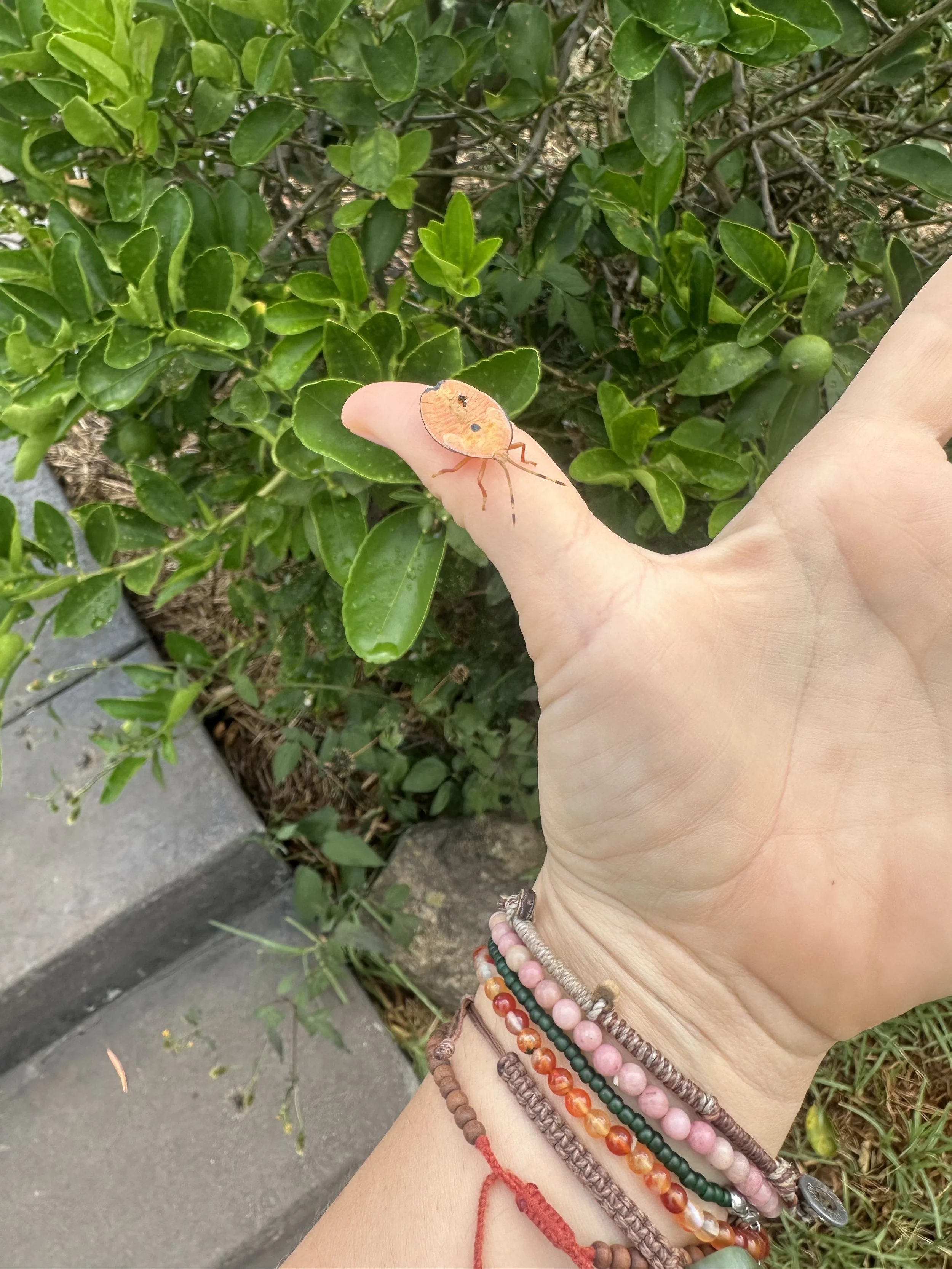 From Mind to Body, and Home to Me Again