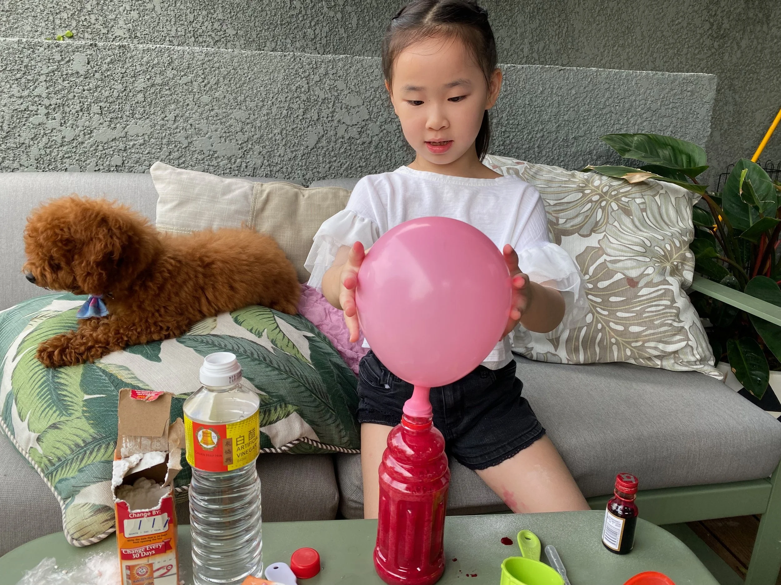 A young girl sitting on a couch holding a pink balloon, with a small brown dog beside her. There are various bottles and items on the table in front of her, and some pillows behind her. She appears to be looking at the balloon, and the setting looks like an outdoor patio area.