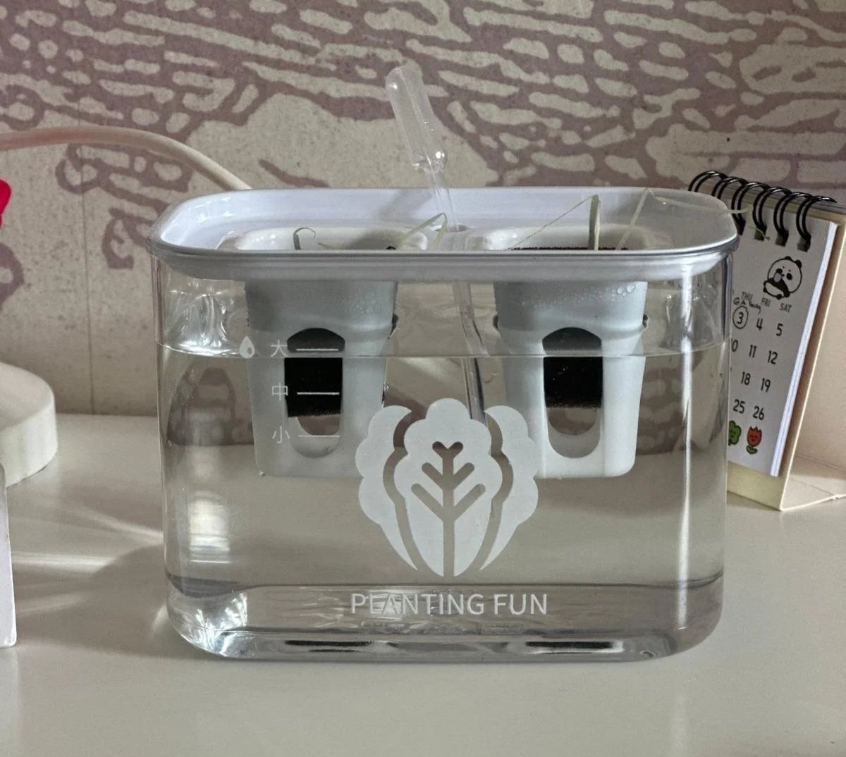 A clear plastic container filled with water, holding three artificial teeth, used as a dental experiment or demonstration tool. The container has the logo 'Peaning Fun' on it, along with measuring markers on the side.