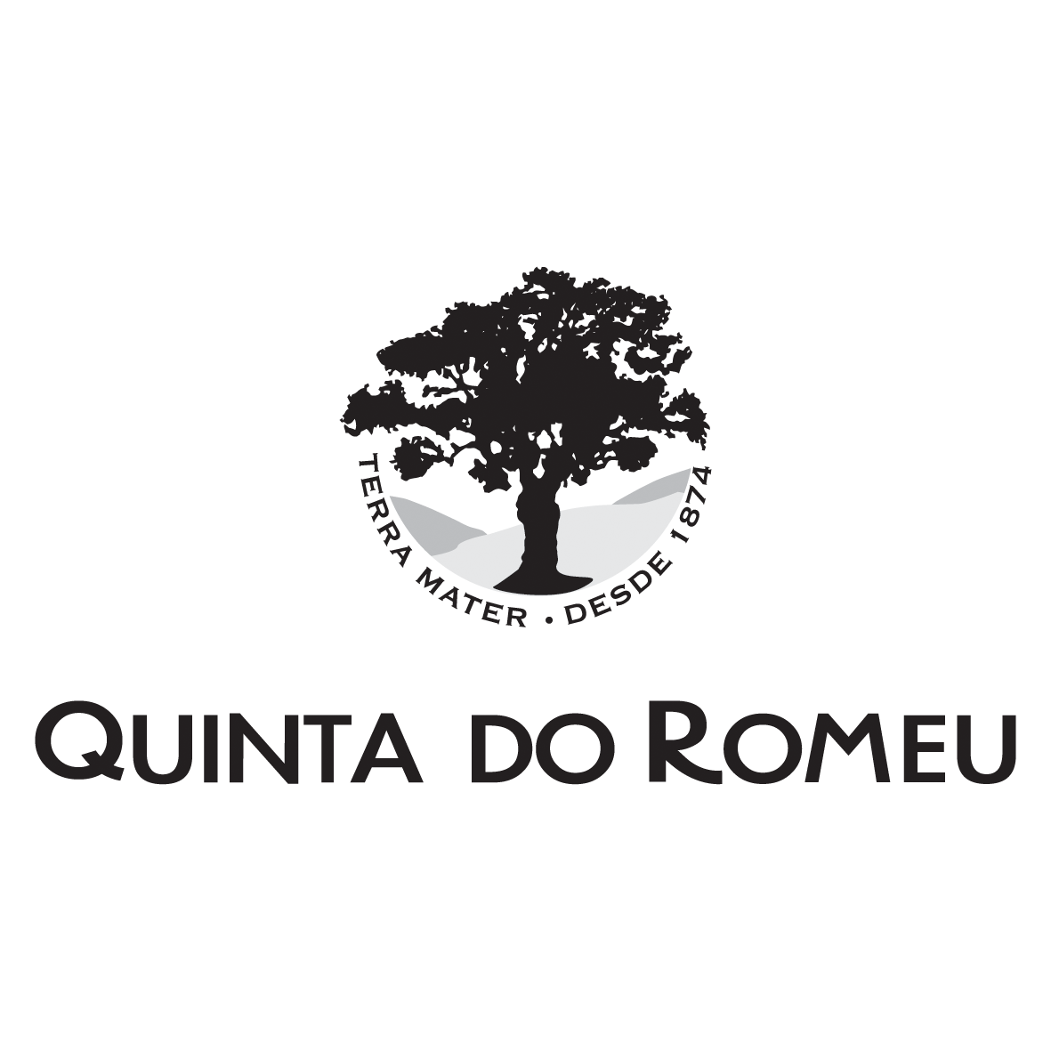 Quinta Do Romeu