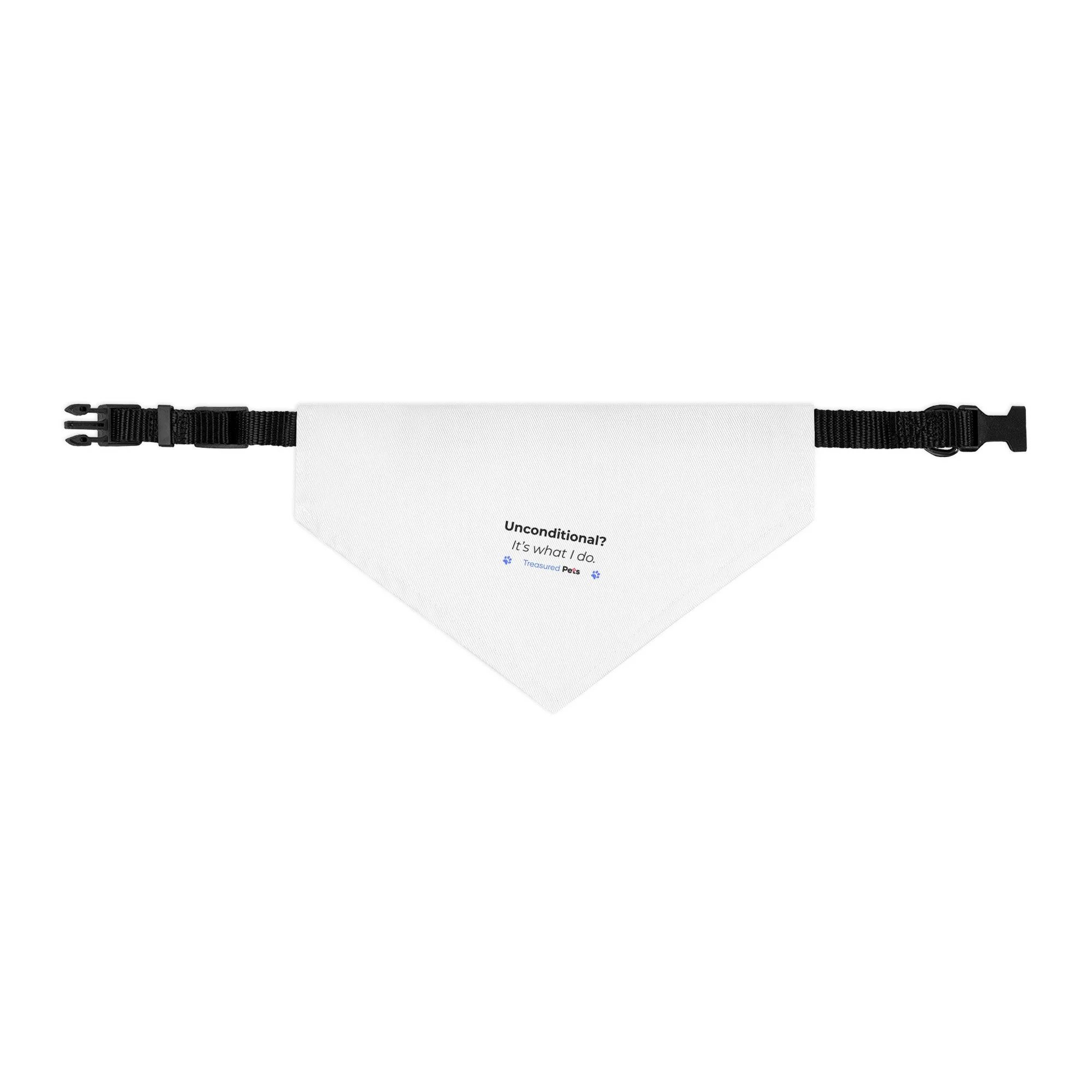 pet-bandana-collar-black-m-front-6895c6164a3e4.jpg