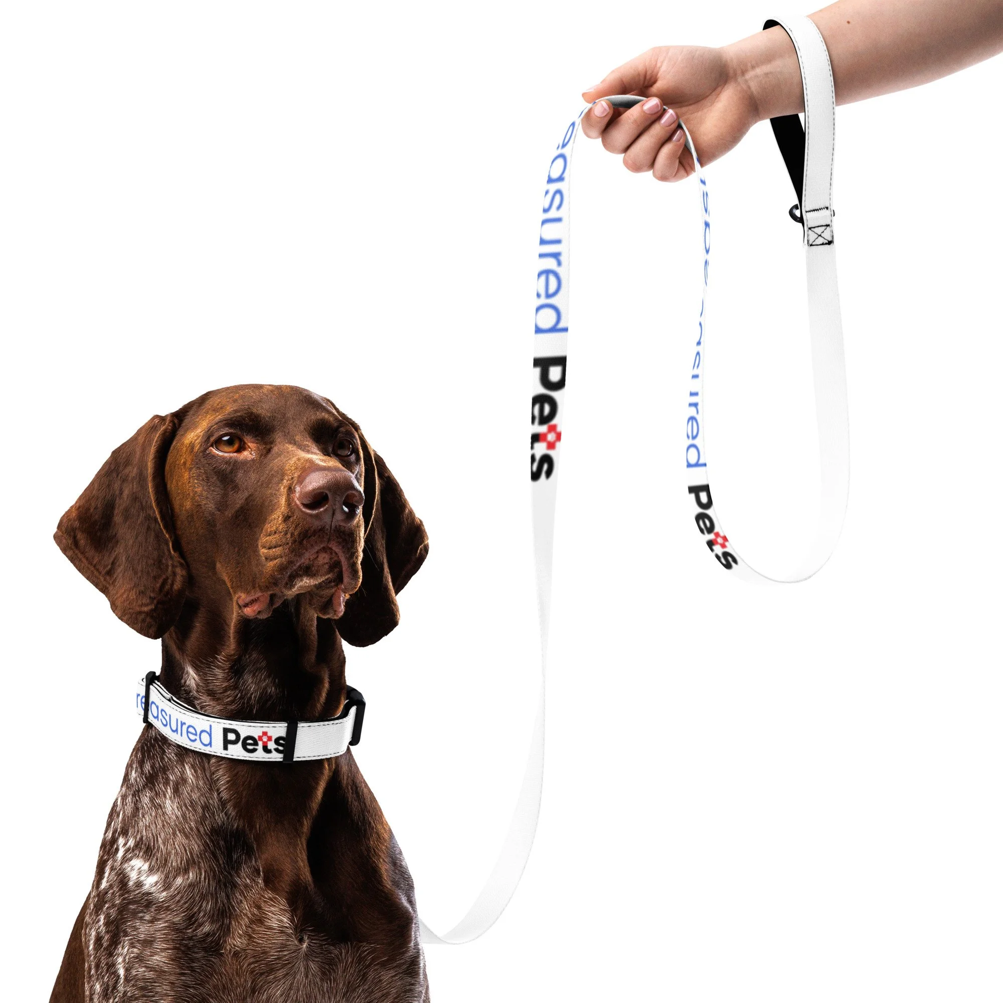 pet-collar--leash-white-l-front-6895cbc50c28c.jpg
