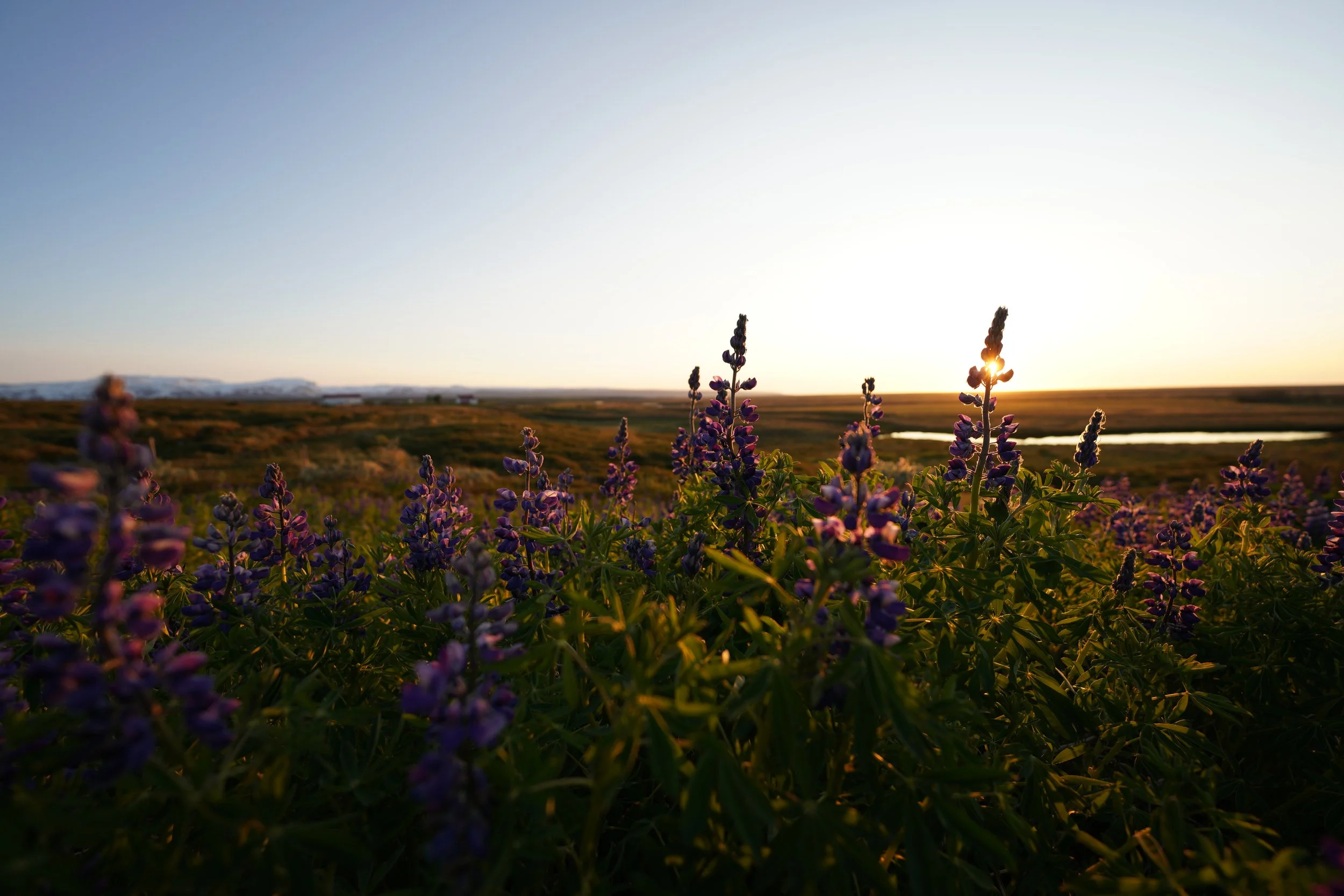 Abendstimmung (Island)