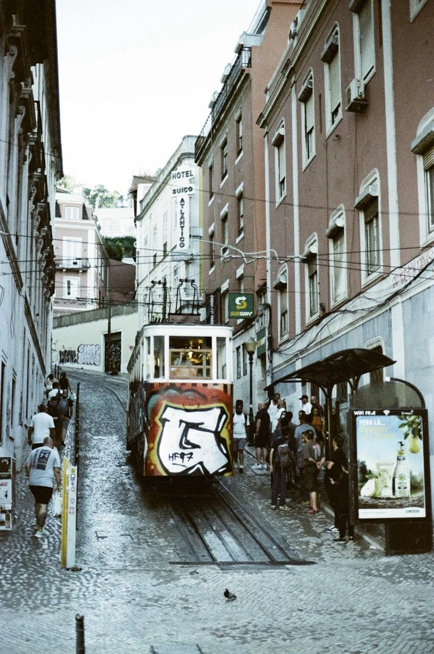 img_17(3) Large.jpeg