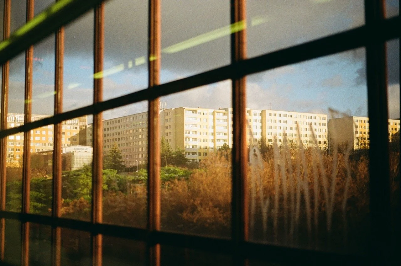 img_36 (1) Large.jpeg