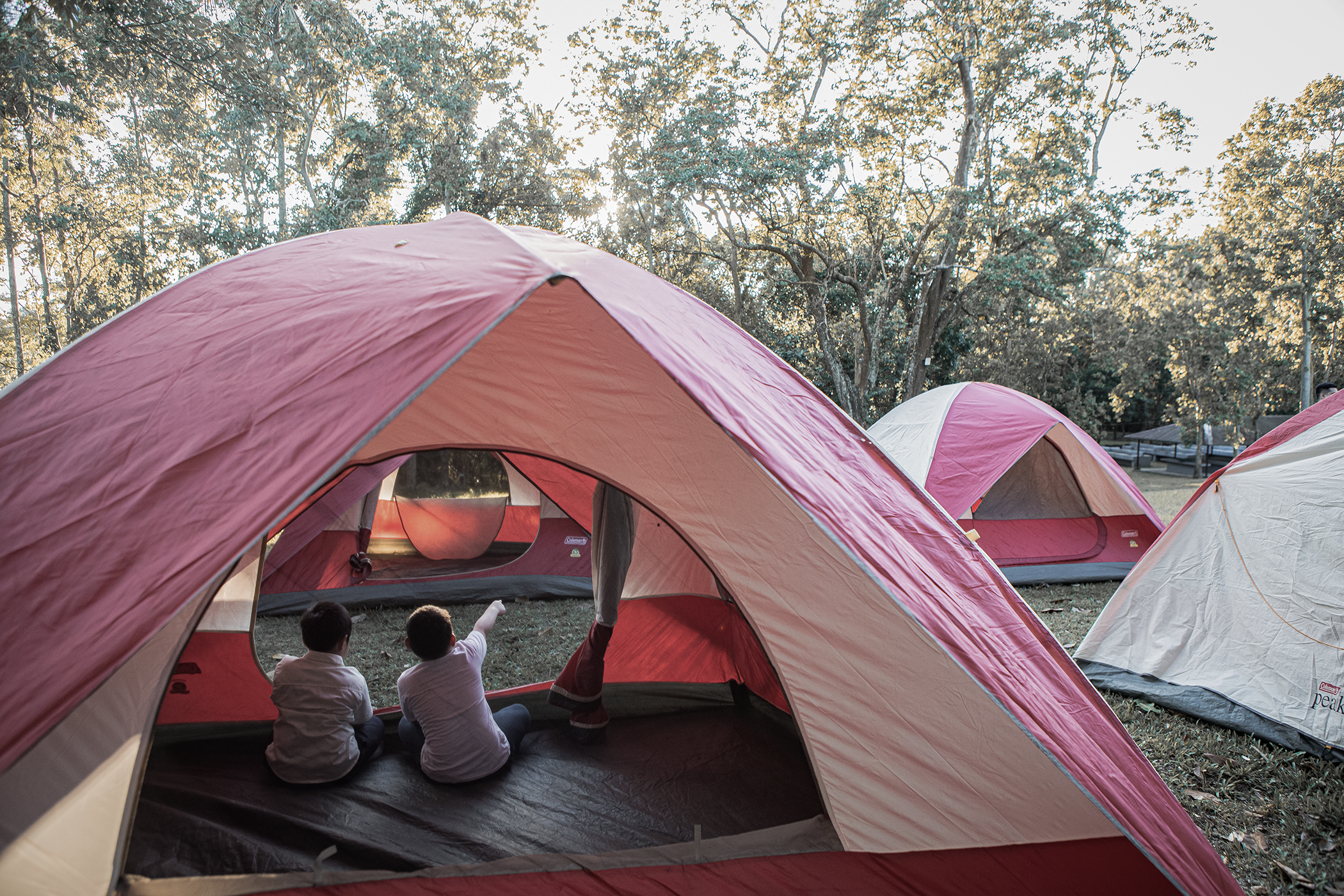 Click Image to View full Gallery